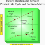 Product life cycle in Portfolio Matrix